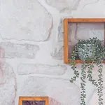 Sikia House In Zakynthos Case de vacanță *