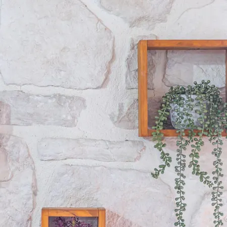 Sikia House In Zakynthos Ferienhaus *